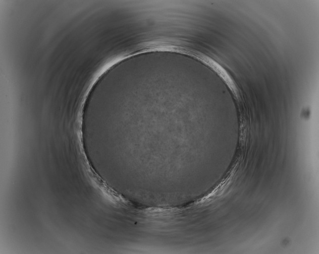 X0000098151051200804171608