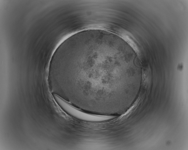X0000098151052200804171608