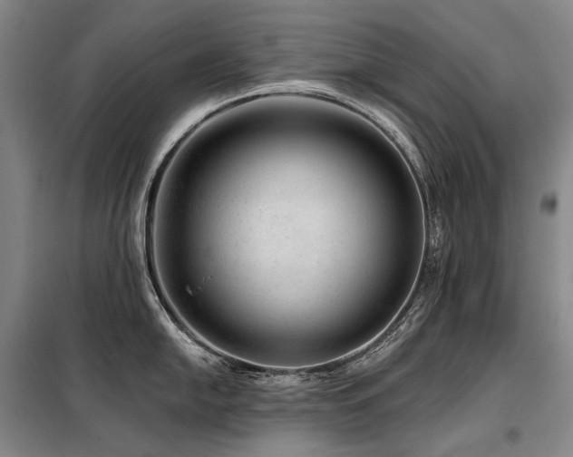 X0000098151054200804171608