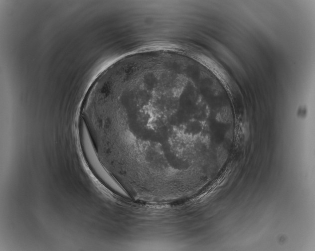 X0000098151055200804171608