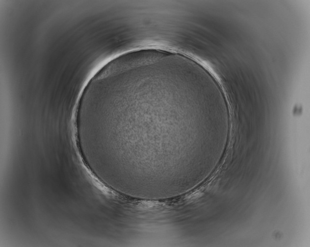X0000098151056200804171608