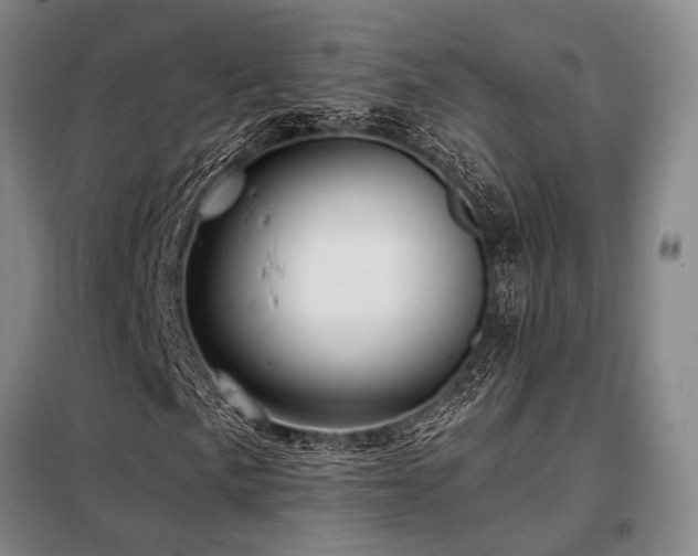 X0000098151057200804171607