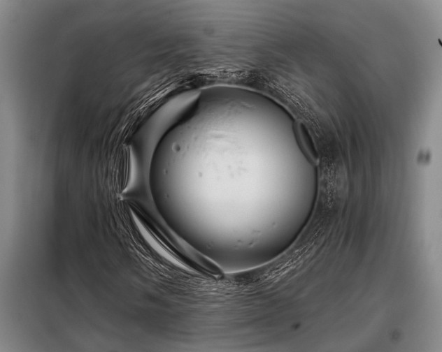 X0000098151058200804171607