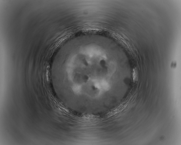 X0000098151059200804171607