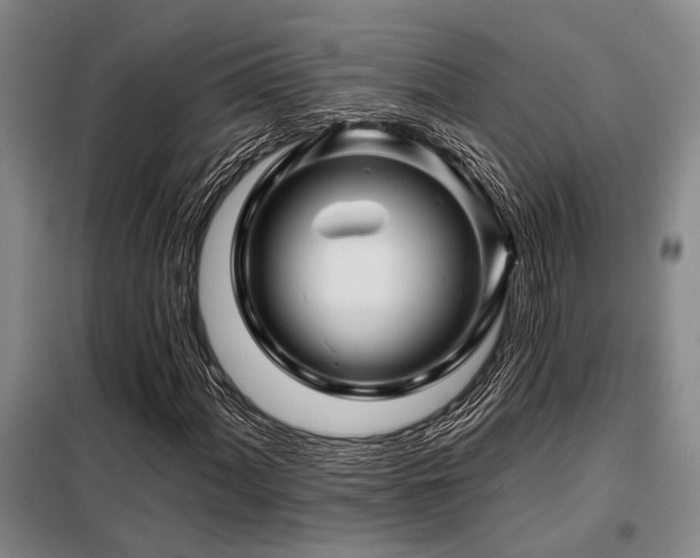 X0000098151060200804171607