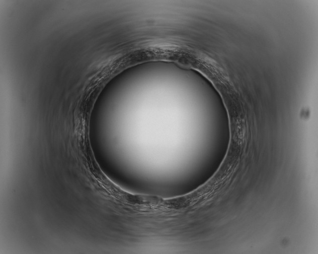 X0000098151061200804171607