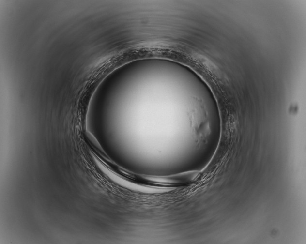 X0000098151062200804171607