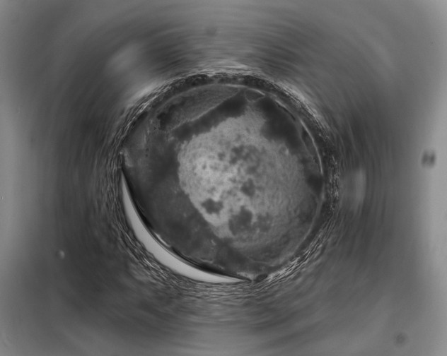 X0000098151063200804171607