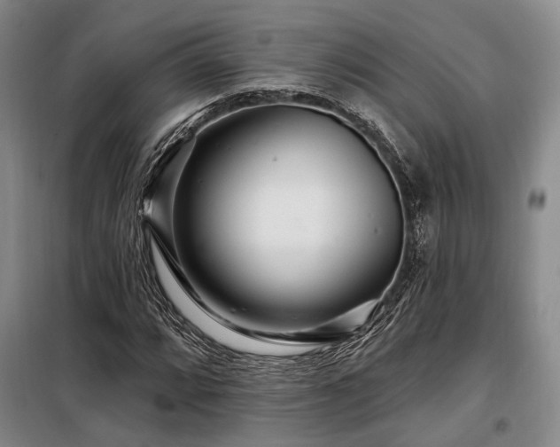 X0000098151064200804171607