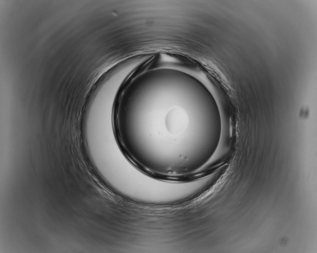 X0000098151065200804171607