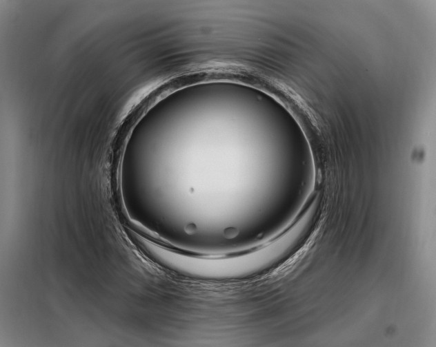 X0000098151066200804171607