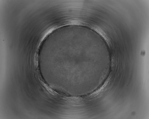 X0000098151067200804171607