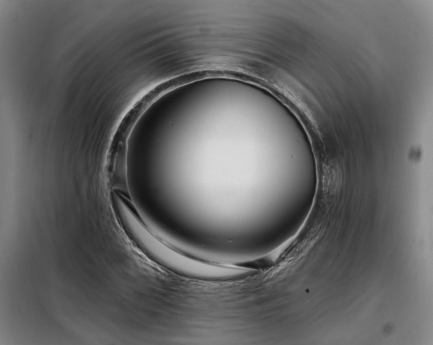 X0000098151068200804171607
