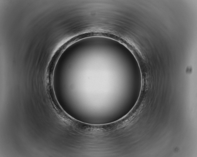 X0000098151070200804171607