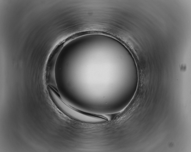 X0000098151072200804171607