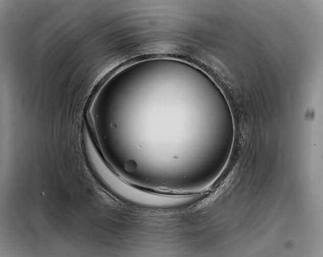 X0000098151073200804171607