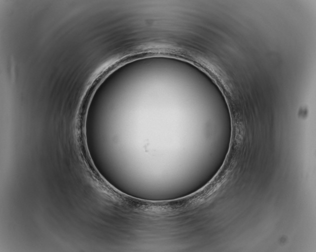 X0000098151074200804171607