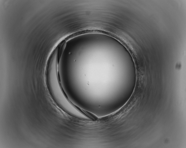 X0000098151076200804171607