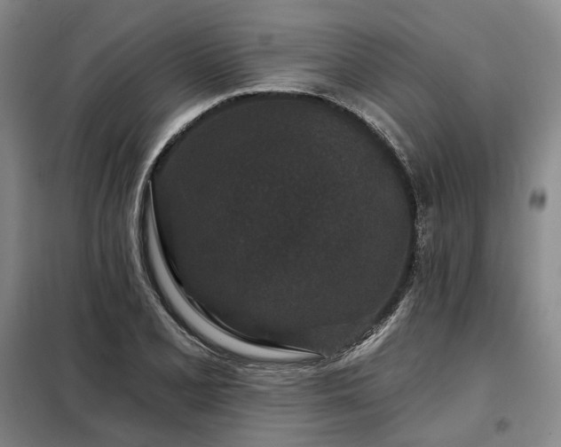 X0000098151077200804171607
