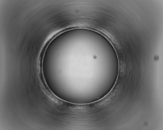 X0000098151078200804171607