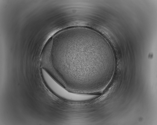 X0000098151081200804171607