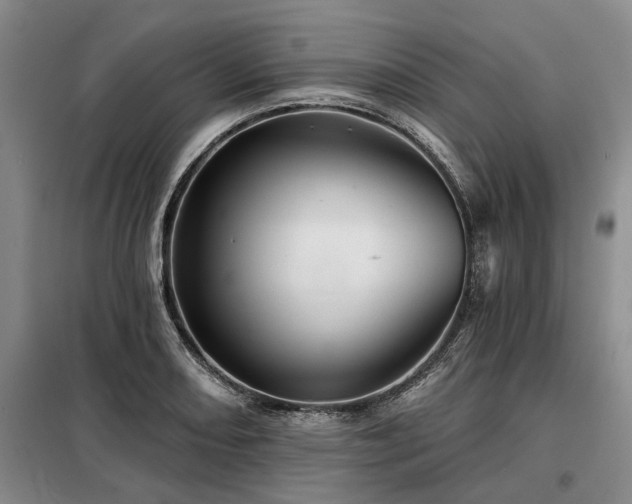 X0000098151082200804171607