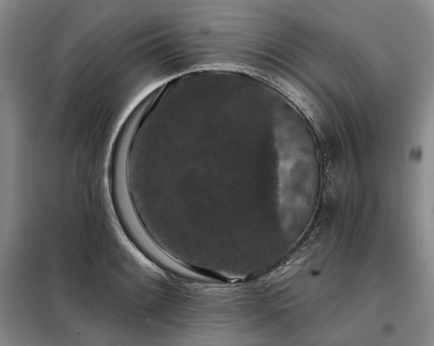 X0000098151084200804171607