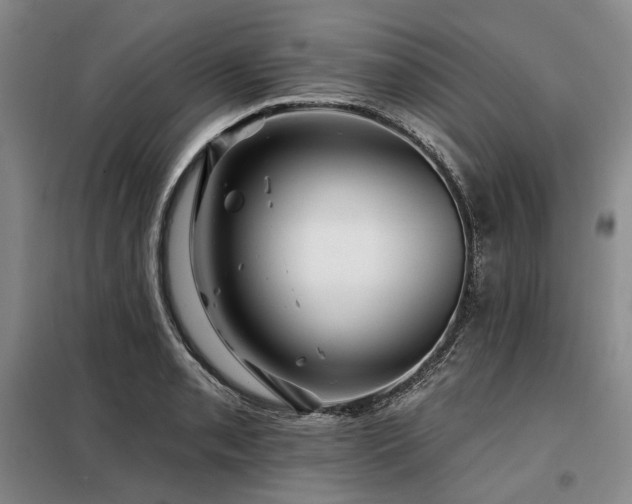 X0000098151085200804171607