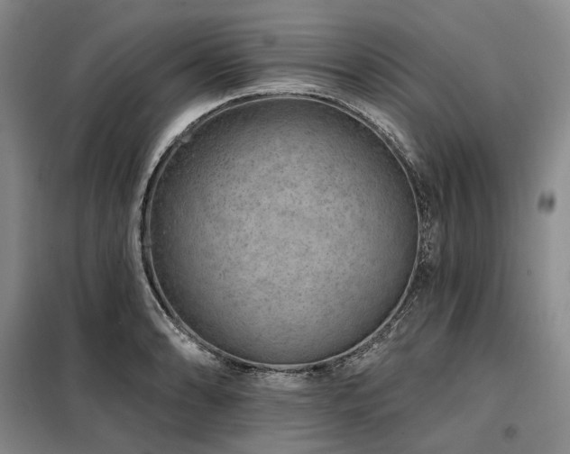 X0000098151086200804171607