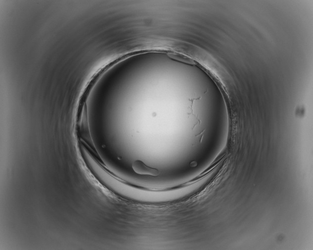 X0000098151088200804171607
