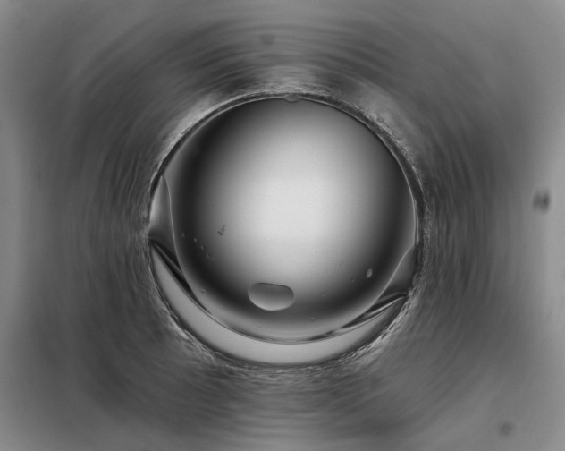 X0000098151089200804171607