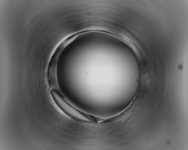 X0000098151092200804171607