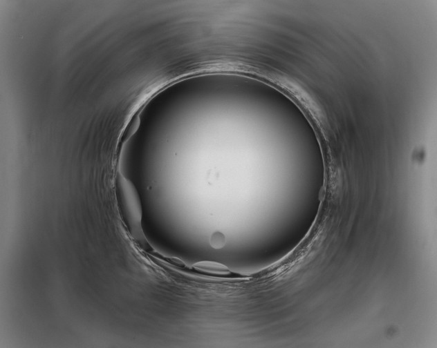 X0000098151097200804171607