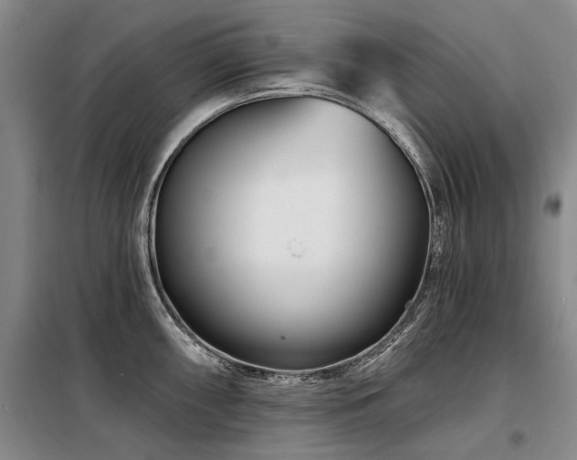 X0000098151098200804171607