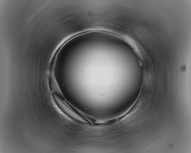 X0000098151100200804171607