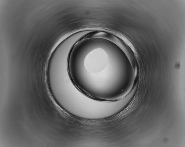 X0000098151101200804171607