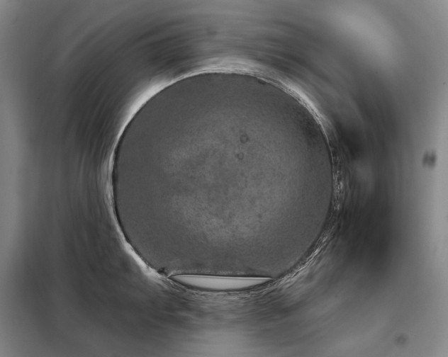 X0000098151103200804171607