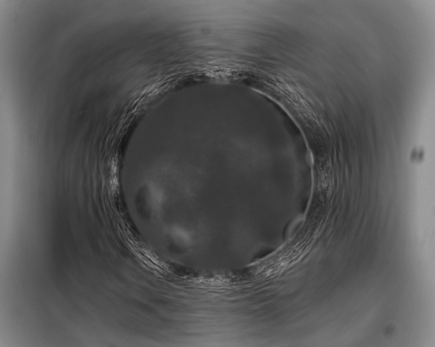 X0000098151106200804171605