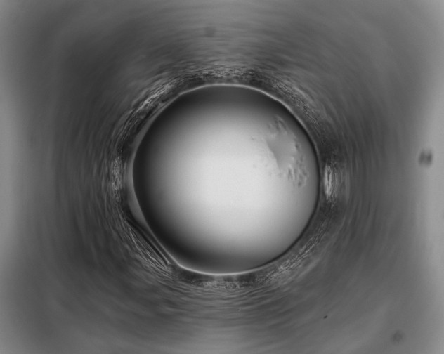 X0000098151107200804171606