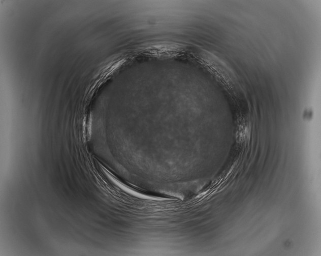 X0000098151108200804171606