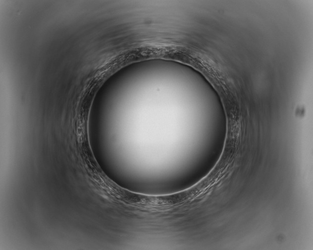 X0000098151109200804171606