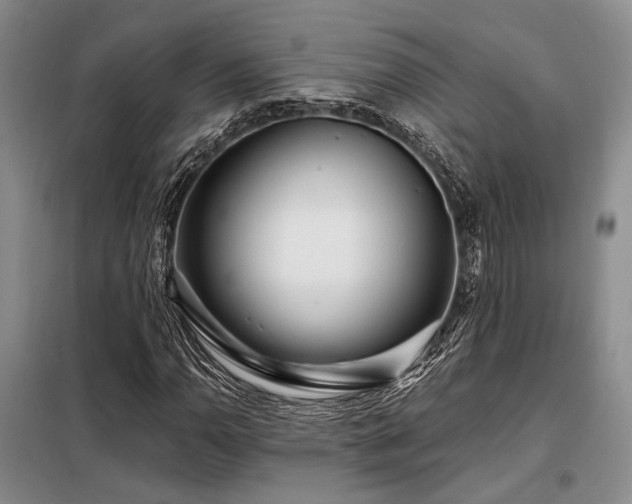 X0000098151110200804171606