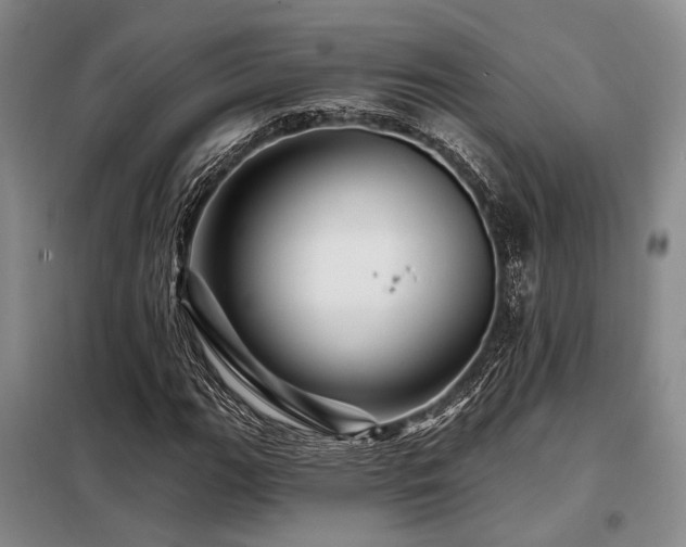 X0000098151111200804171606