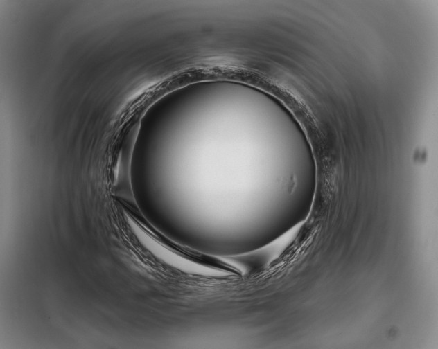 X0000098151112200804171606