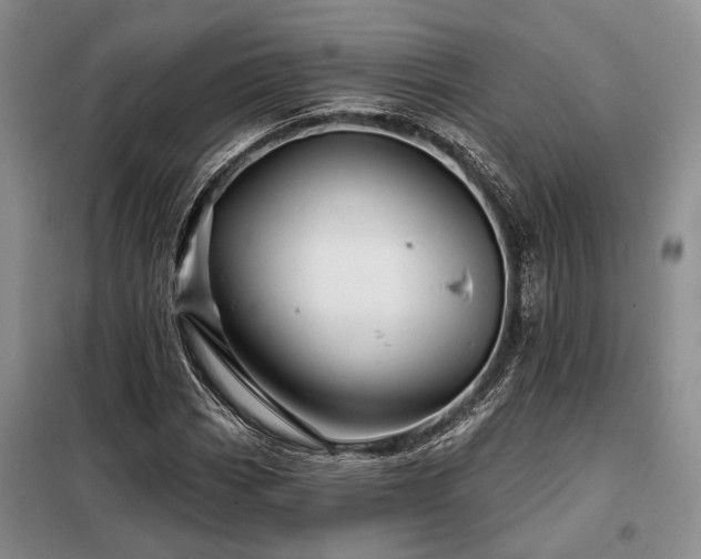 X0000098151113200804171606