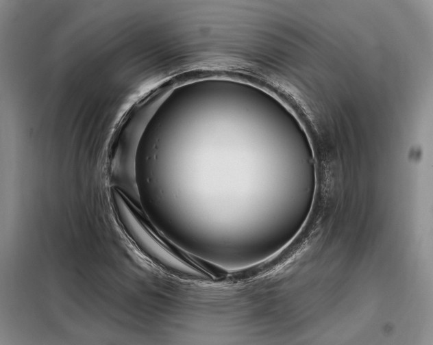 X0000098151114200804171606