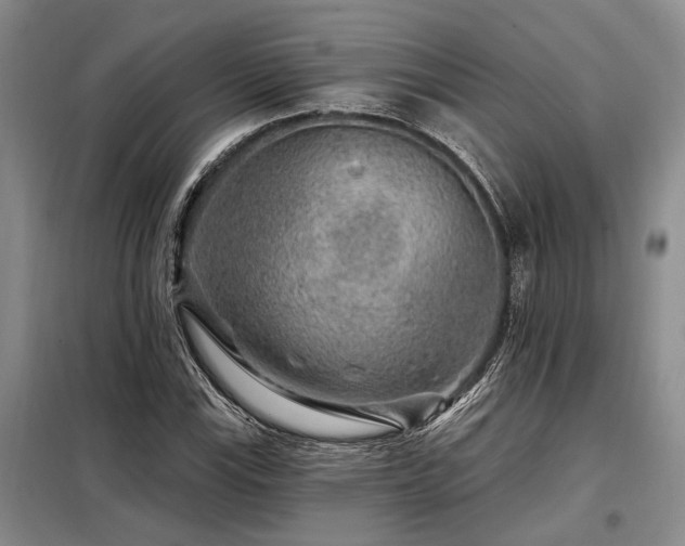 X0000098151115200804171606