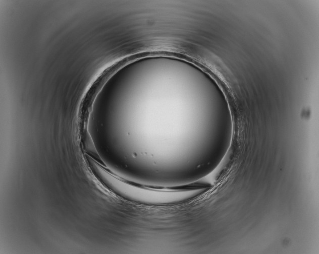X0000098151116200804171606