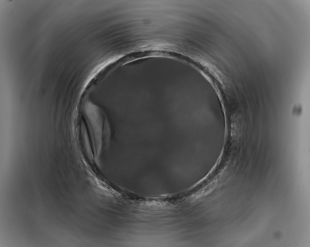 X0000098151117200804171606
