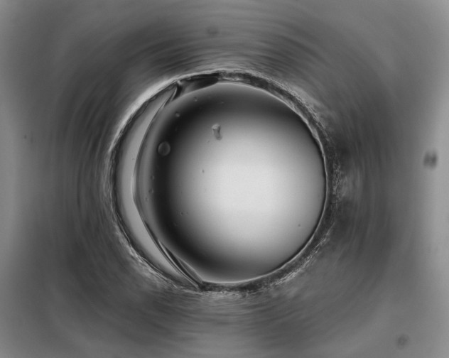 X0000098151118200804171606